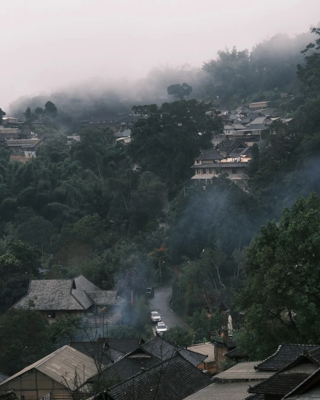 Timber-roofed village houses on a forested slope wreathed in morning mist and drifting woodsmoke on Jingmai Mountain.