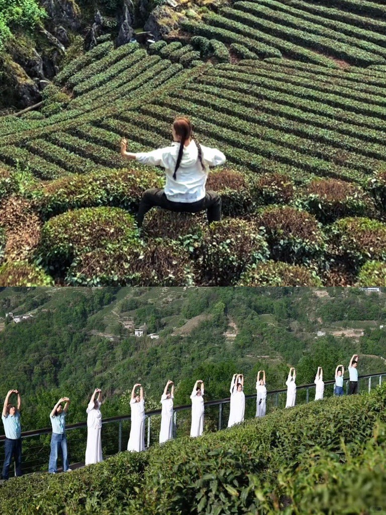 Visitors practising gentle stretching and mindful movement along a railing above green hillside tea terraces on Jingmai Mountain.
