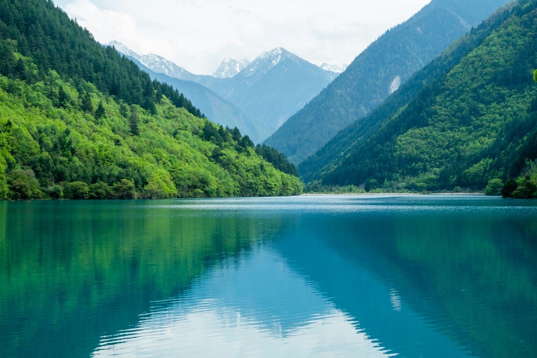 Mirror Lake in Jiuzhai's Rize Valley — deep blue water flanked by forested slopes rising to snow peaks at the valley head