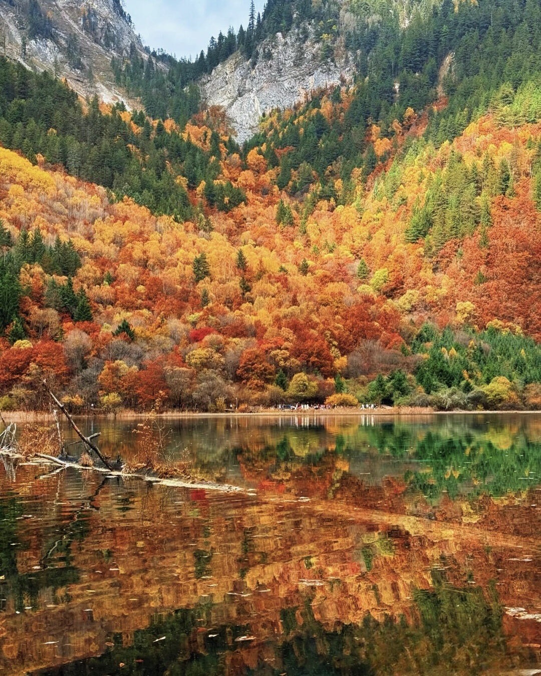 Fiery autumn maples and larches mirrored in a Jiuzhai Valley lake — Shuzheng Valley in peak October colour