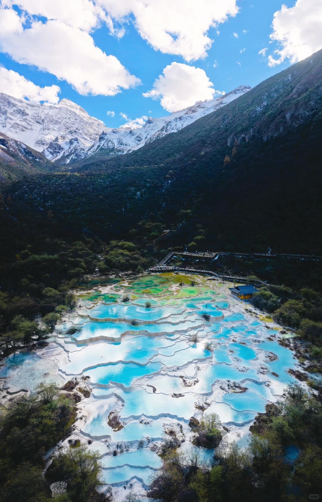 Wide aerial of Huanglong's travertine field with snow-capped peaks rising directly behind the valley