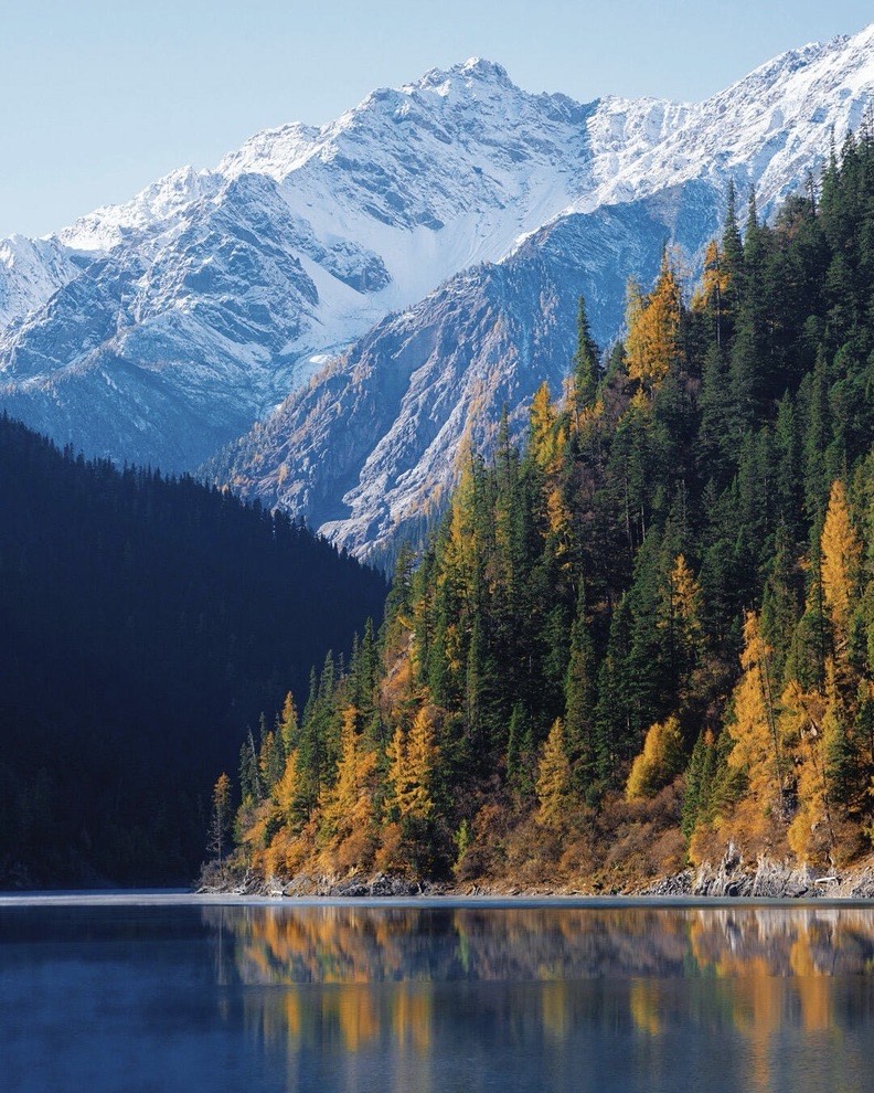 Long Lake (Changhai) in Zechawa Valley — golden autumn larches and snow peaks reflected in the park's highest and largest lake