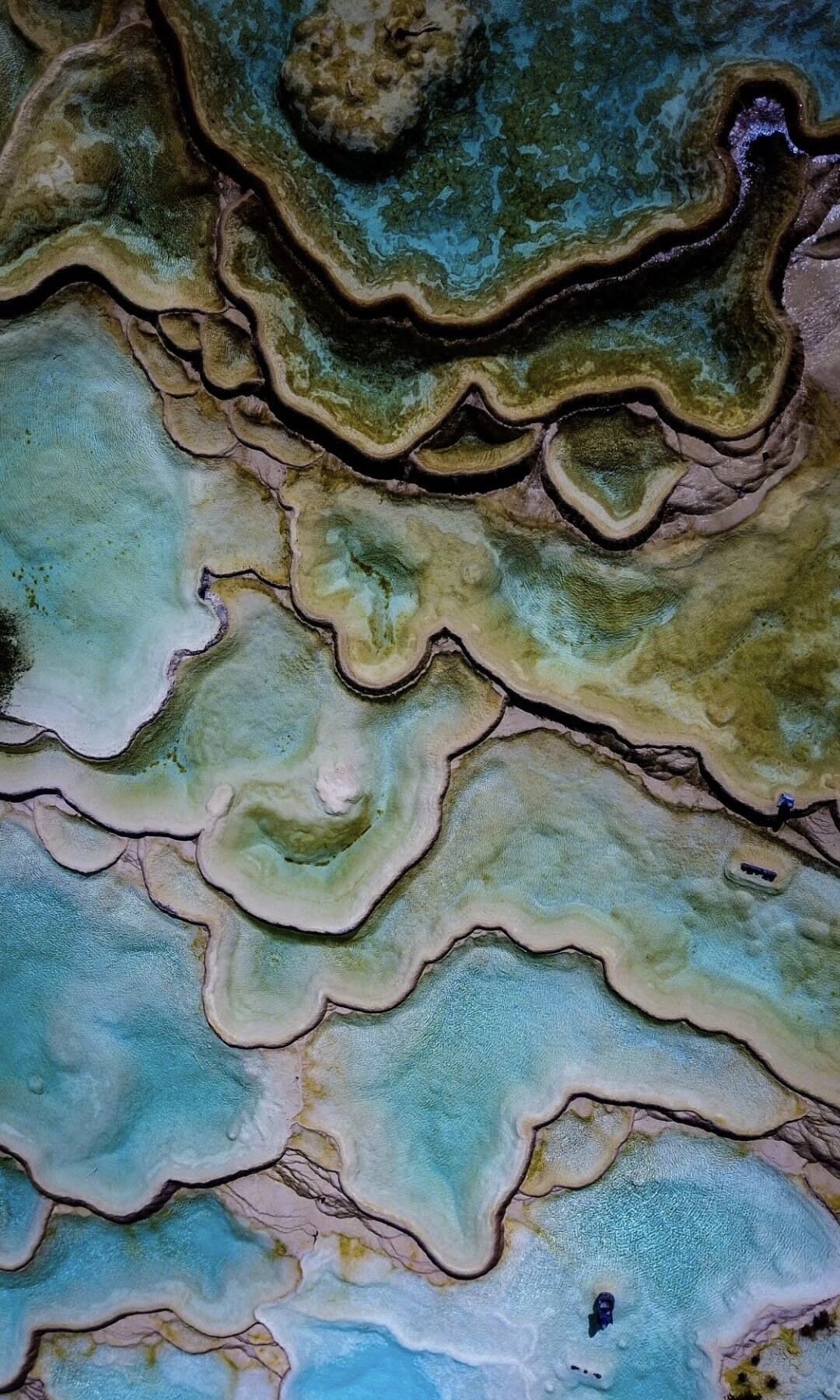 Aerial view of Huanglong's travertine terraced pools — organic teal and jade forms seen from above
