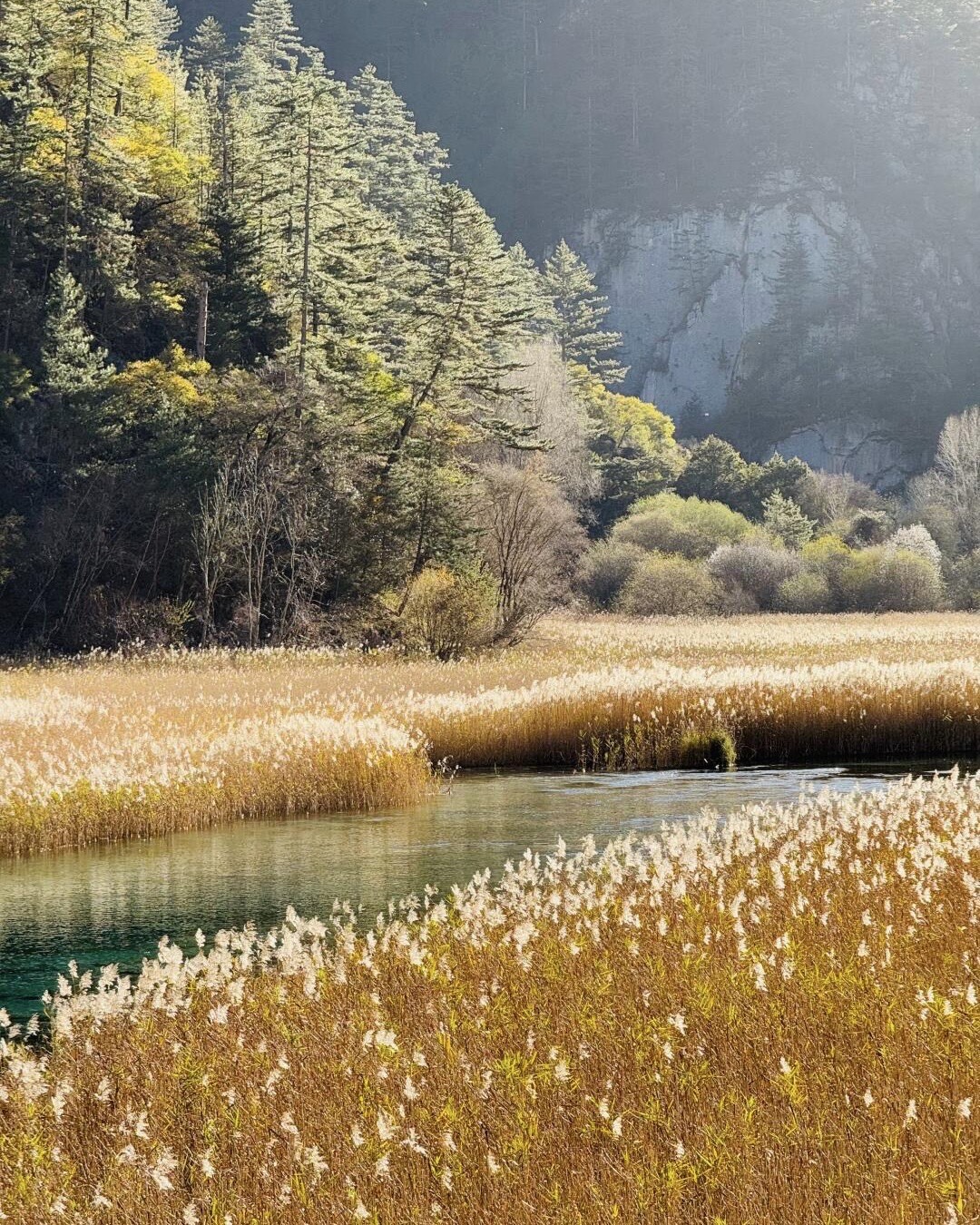 Brilliant autumn canopy above a clear Jiuzhai lake — the park's most popular season for private photography