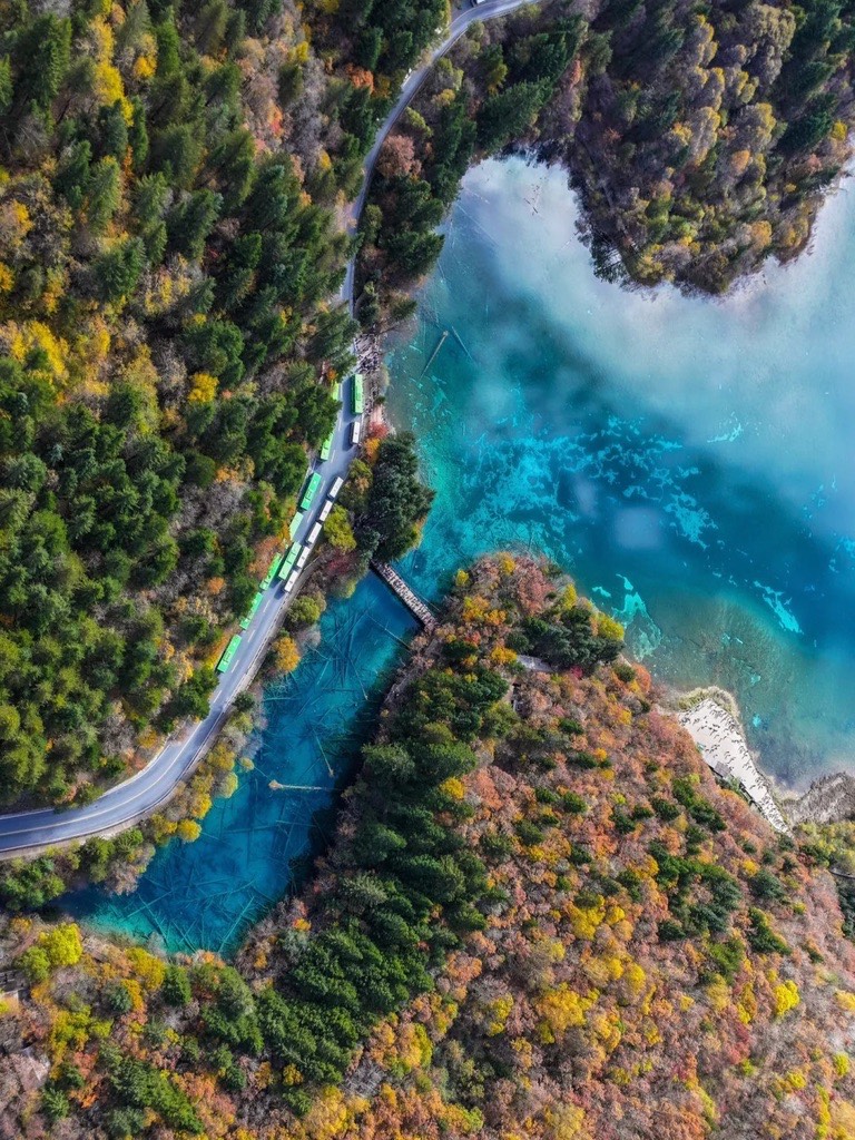 Vivid autumn foliage above a turquoise Jiuzhai Valley lake — peak October colour in the park
