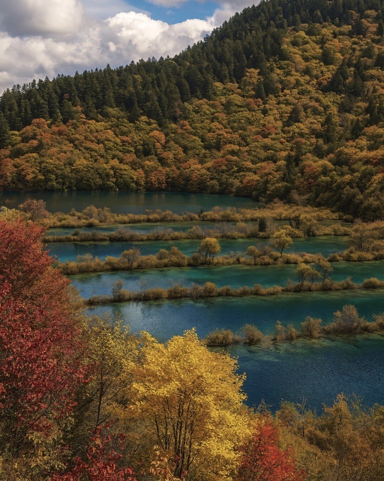 Peak autumn at Jiuzhai Valley — mixed forest in orange, red, and gold above the valley boardwalk and pools