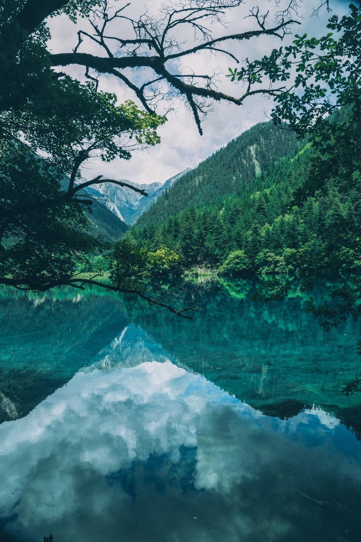 Overhanging branches frame a mirror reflection of mountains and sky in a clear Jiuzhai Valley pool