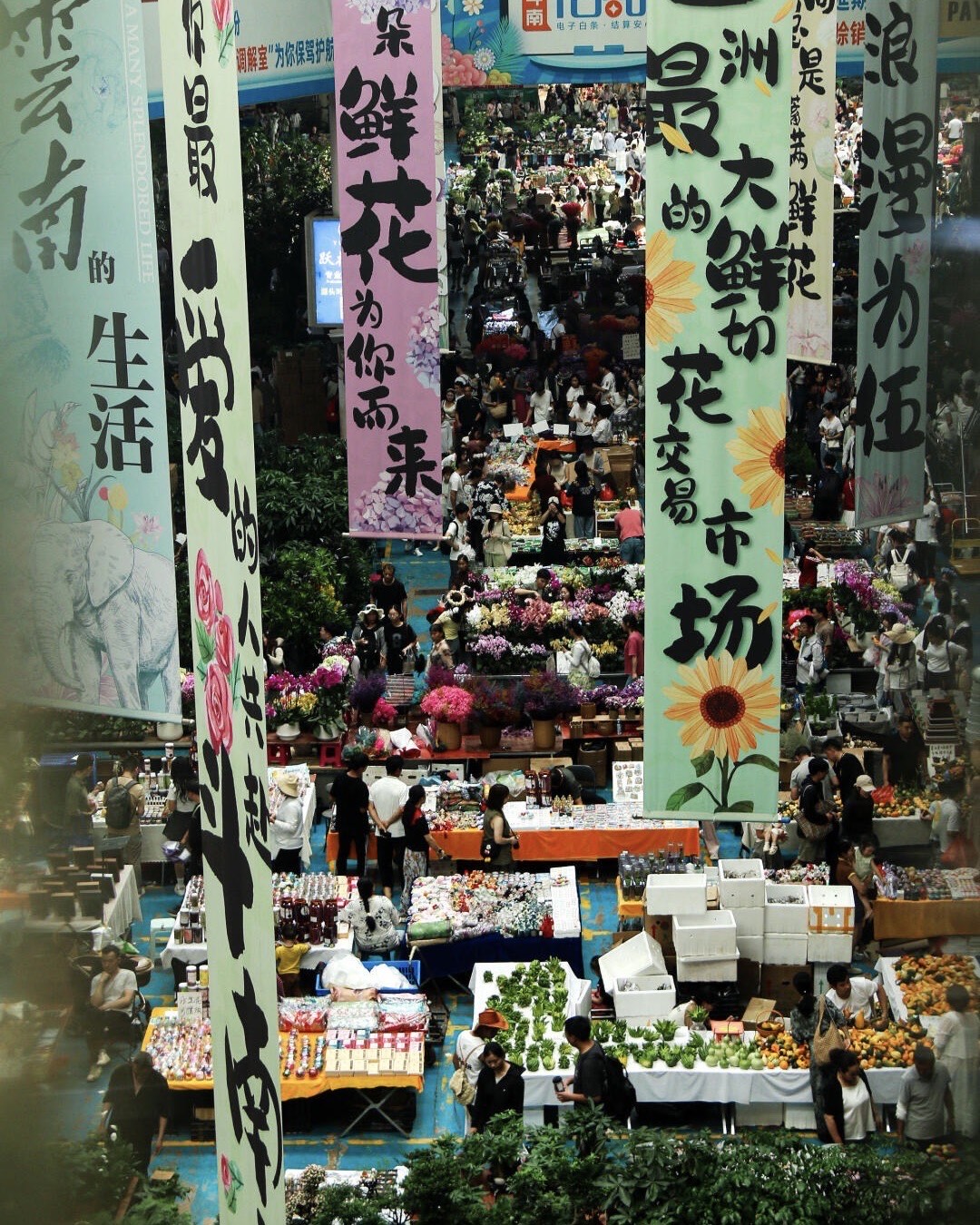 Experience the City's Vibrance — Kunming (6)