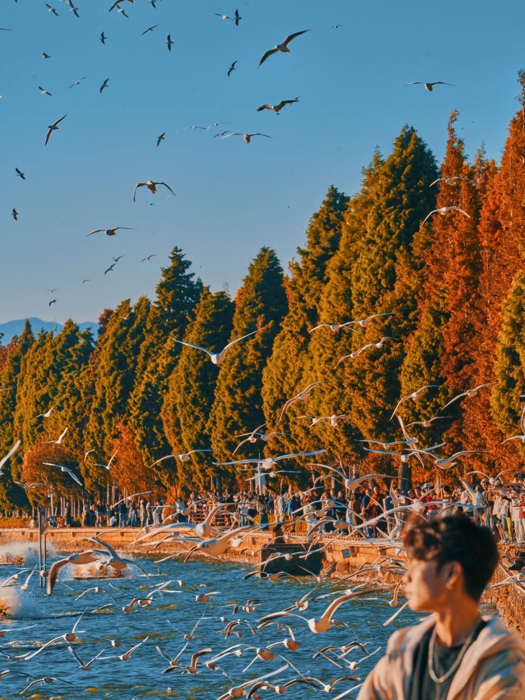 Autumn leaf — Kunming (2)