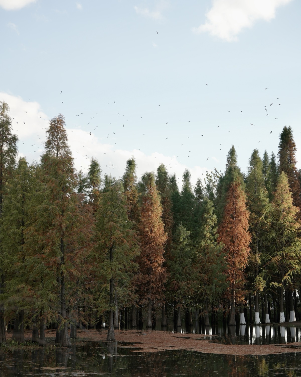 Dianchi & West Mountain — Kunming (5)