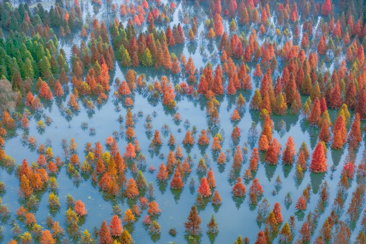 Autumn leaf — Kunming (5)