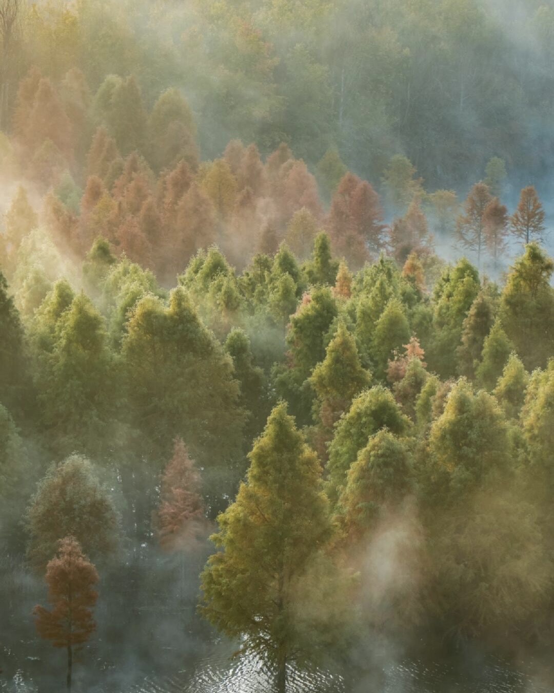 Autumn leaf — Kunming (7)