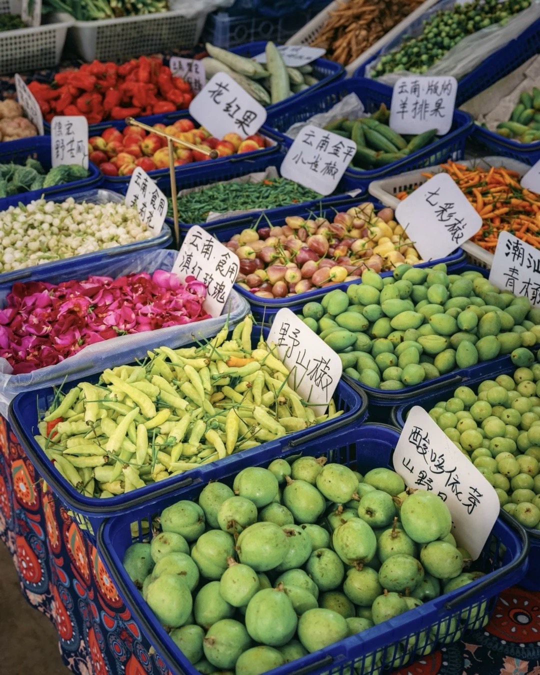 Experience the City's Vibrance — Kunming (8)