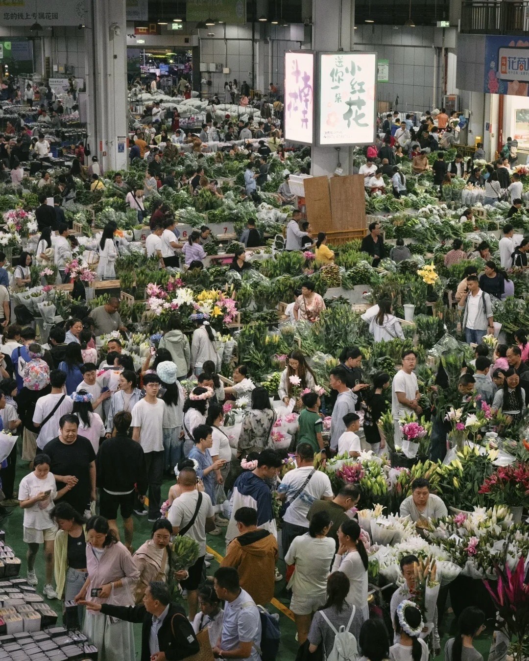 Experience the City's Vibrance — Kunming (2)