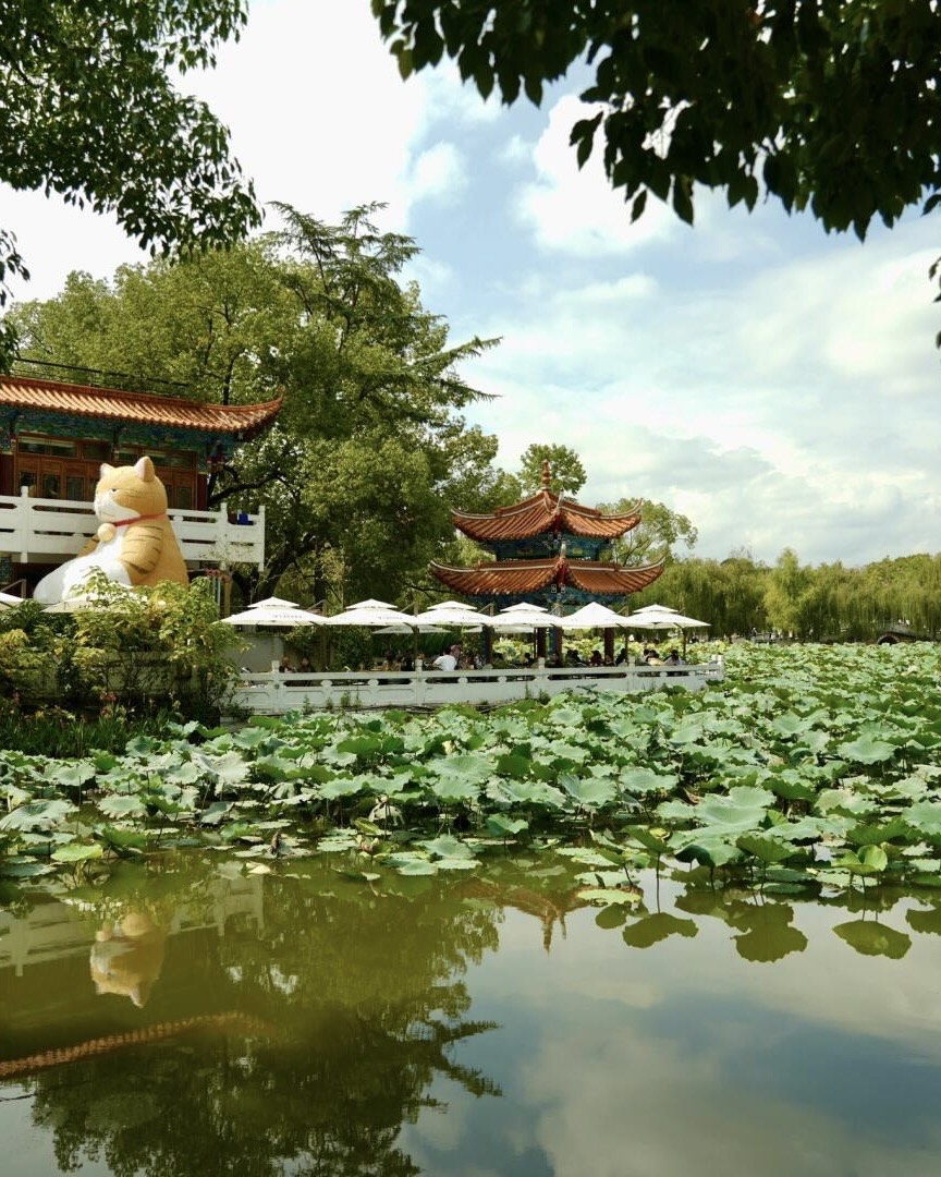 Experience the City's Vibrance — Kunming (9)