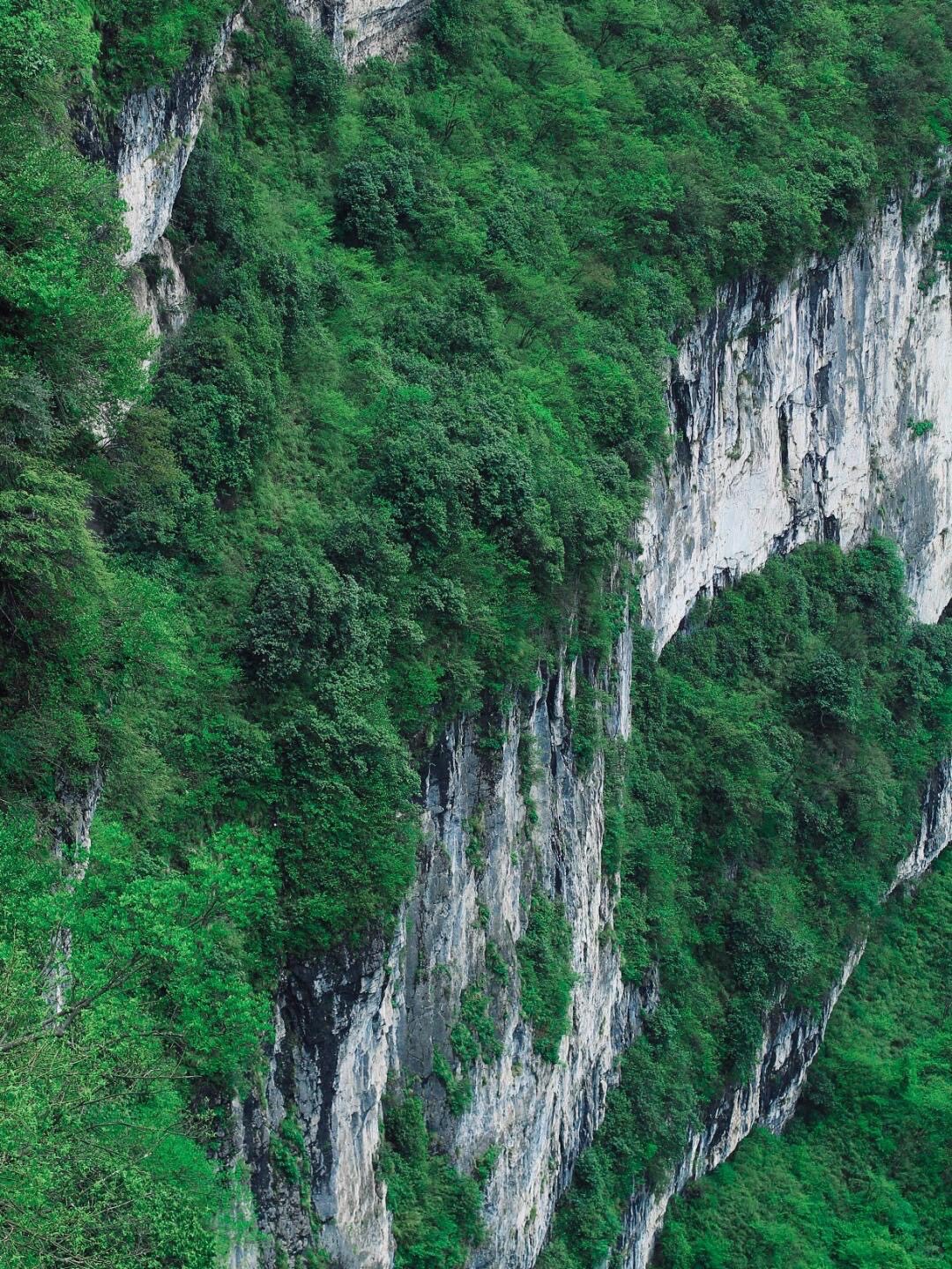 The Golden Summit of Mount Emei — Leshan (2)