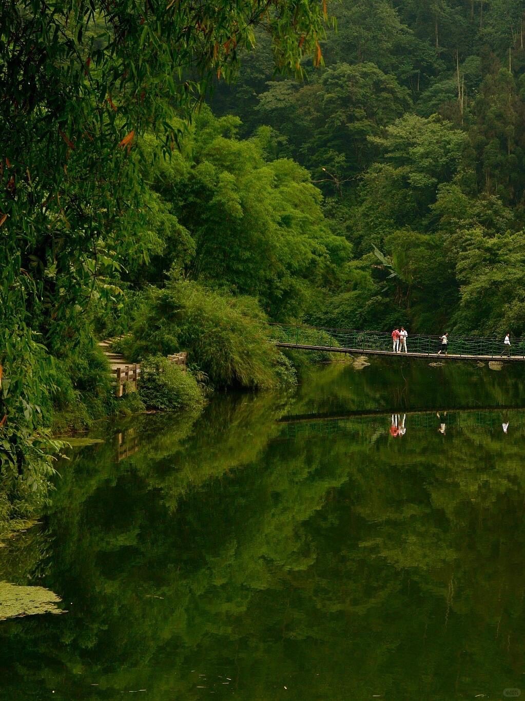 The Golden Summit of Mount Emei — Leshan (4)
