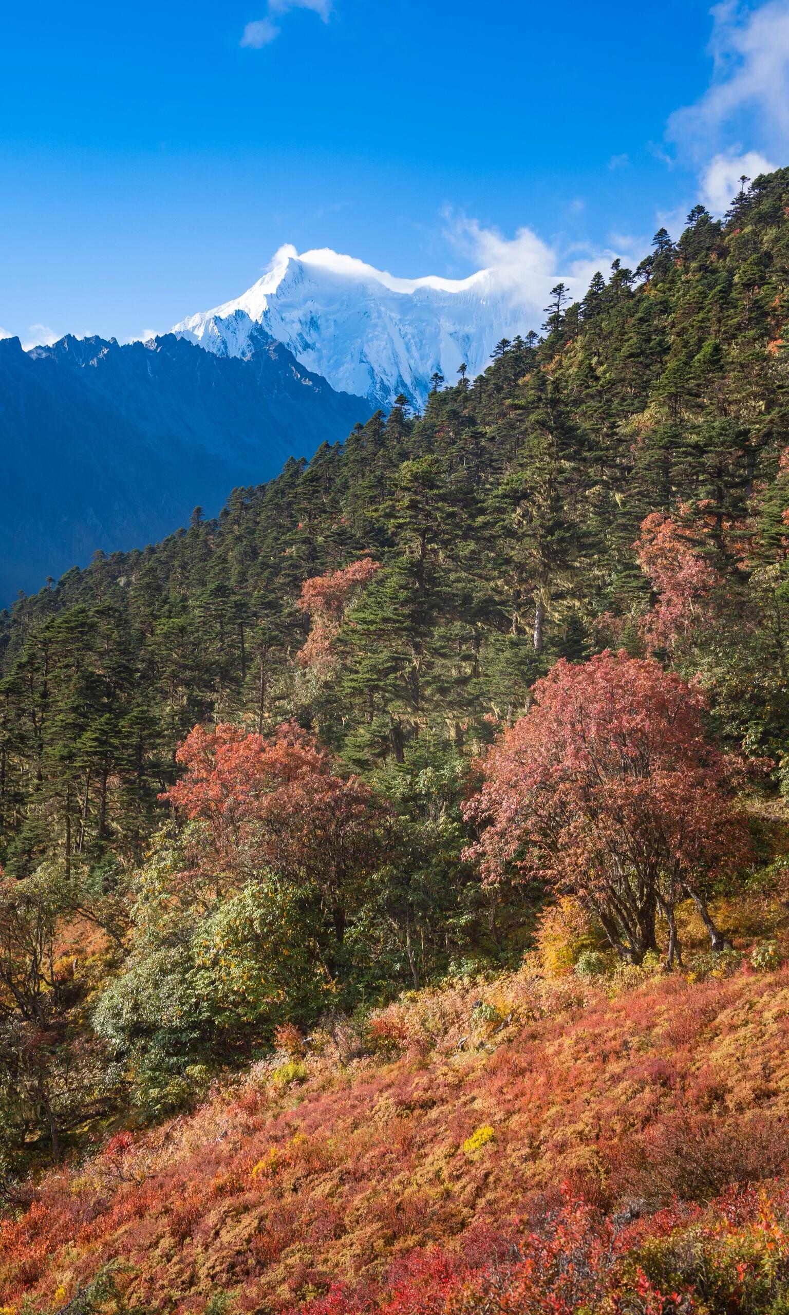 Fiery autumn foliage meets a snow-capped Meili peak — early October on the north slope