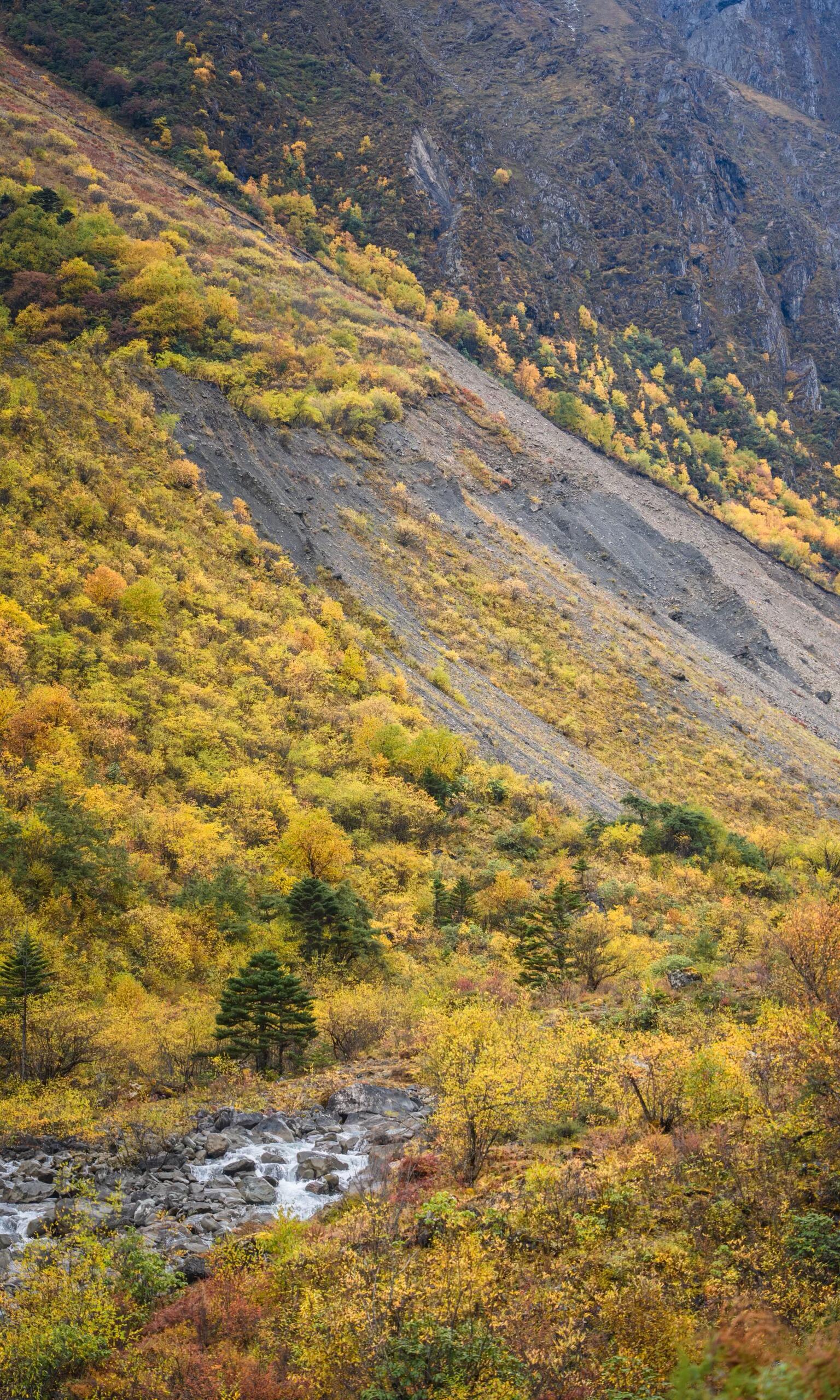 Golden autumn valley with rushing stream — Day 7 descent