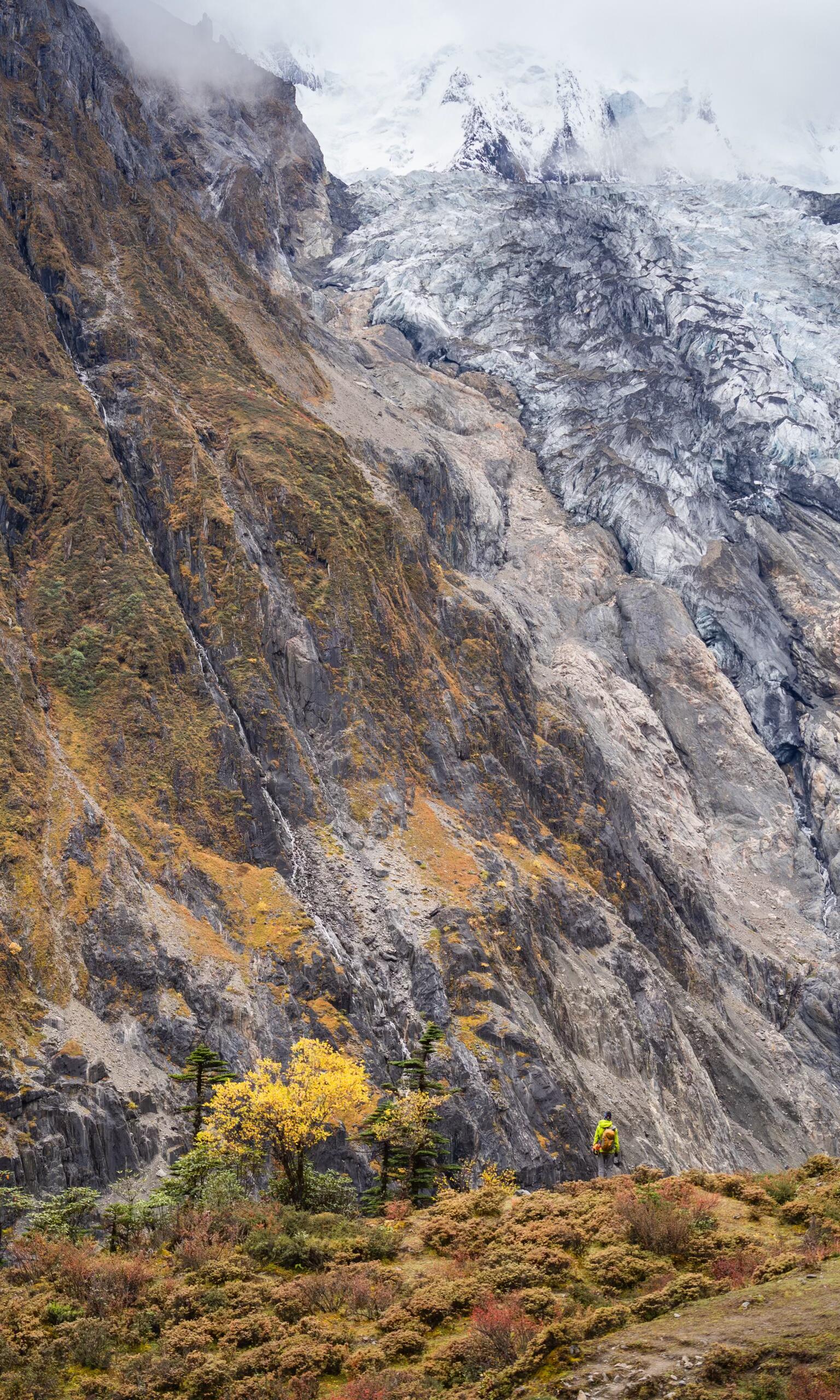 Solo hiker beneath a glacier face with one golden autumn tree — Day 4 to Pojun Camp