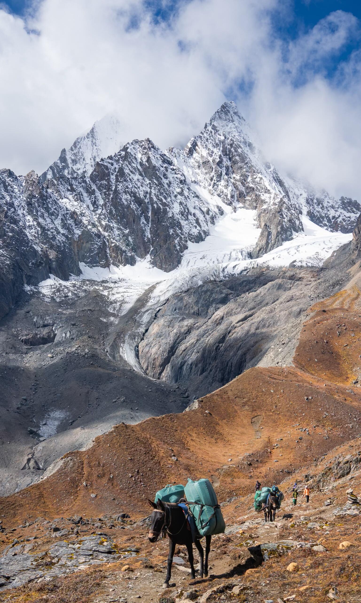 Pack horse hauling gear with a glacier peak behind — Meili North Slope pack-train