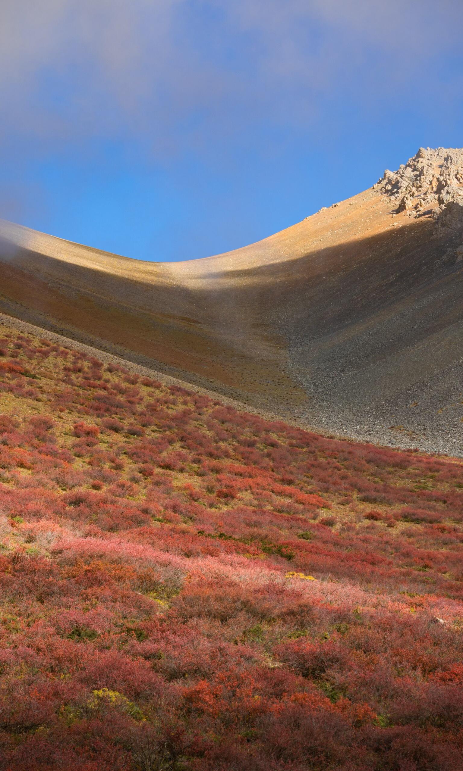 Crimson alpine meadow at the Ciding Pass — Meili's autumn colour palette