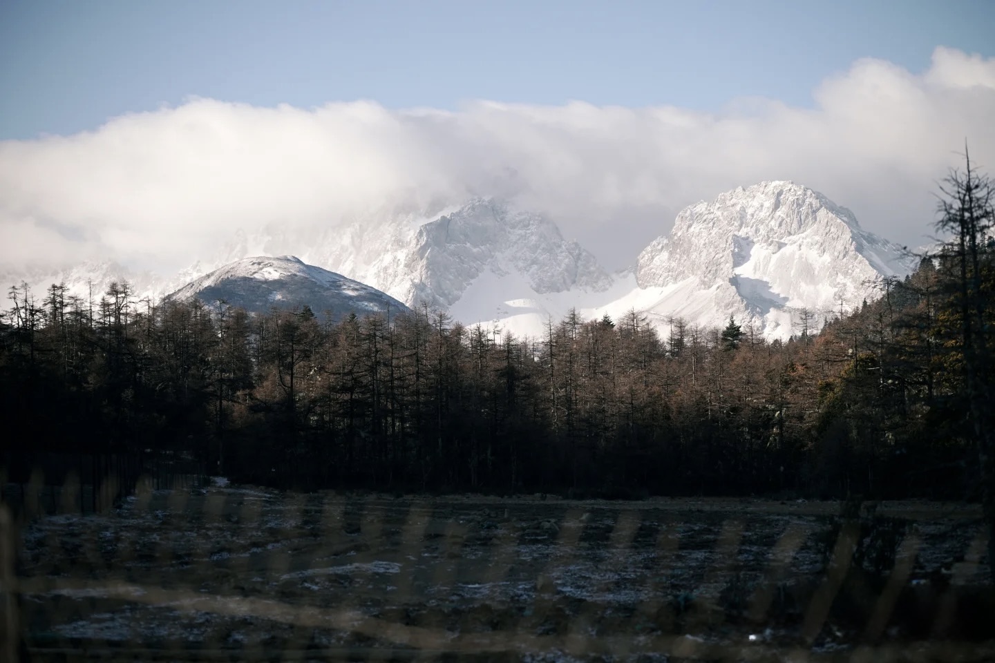 Cloud-wrapped snow peaks rising behind bare winter larches — north slope after autumn colour drops