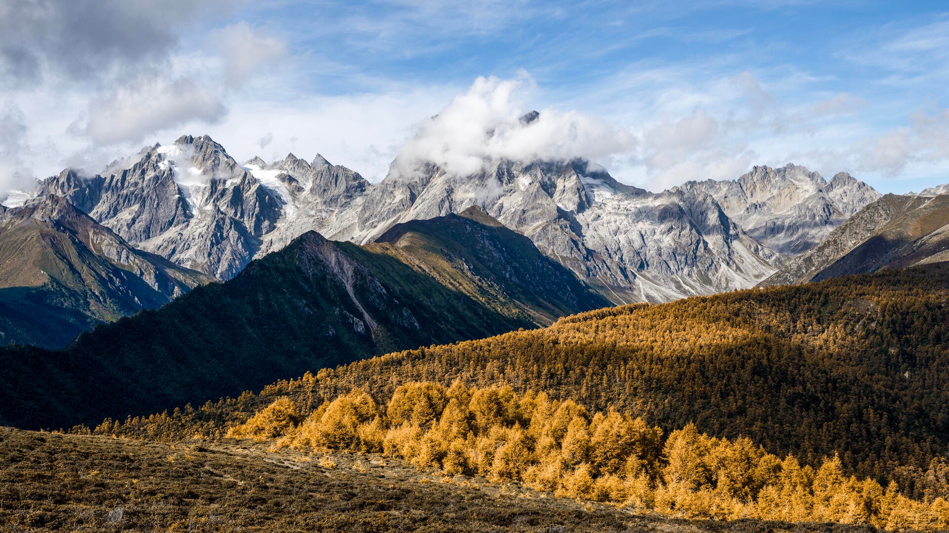 Snow-capped Meili Snow Mountain above golden autumn larch — Ultimate Hikes hero image
