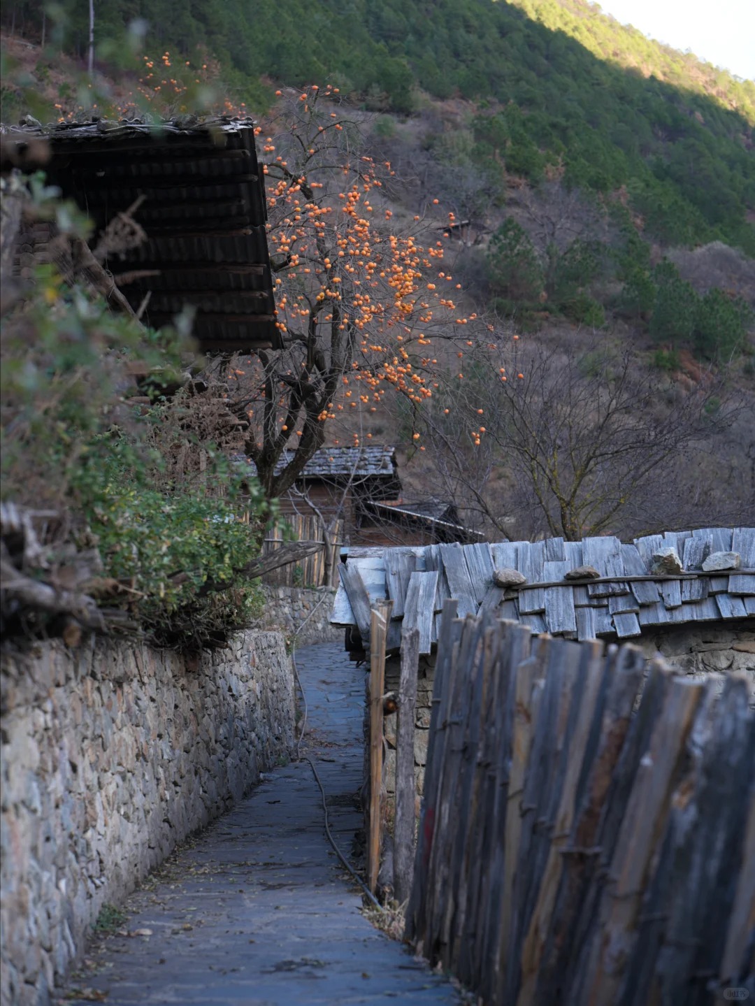 Local Lisu guide in the Weixi/Nujiang region — Living Heritage cultural visit