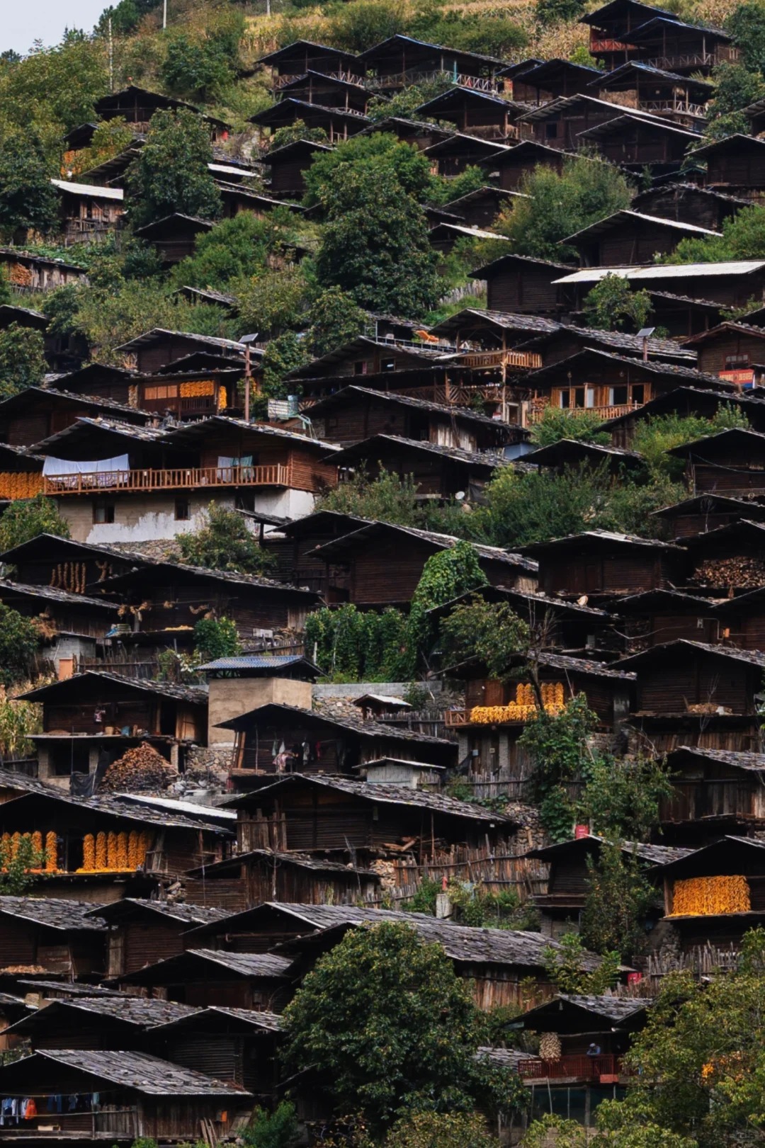 Wooden-house Lisu mountain settlement in the Weixi region — the architectural type of Tongle