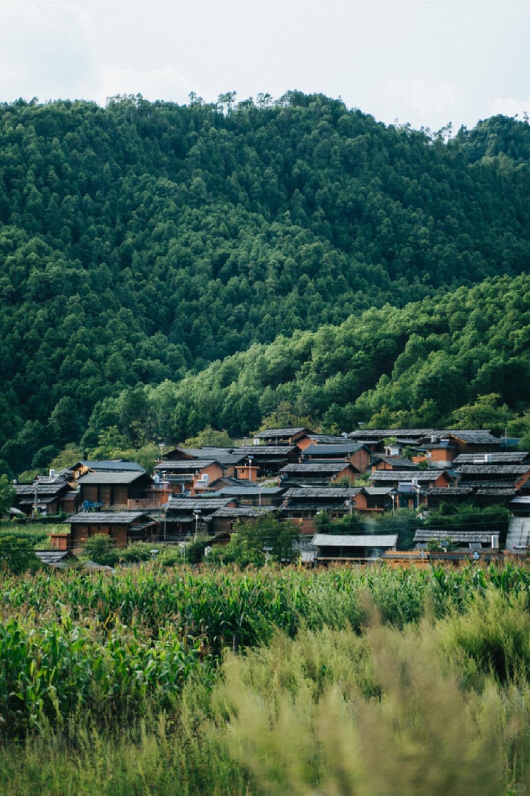 Cluster of traditional wooden Nujiang houses nestled into a green mountainside