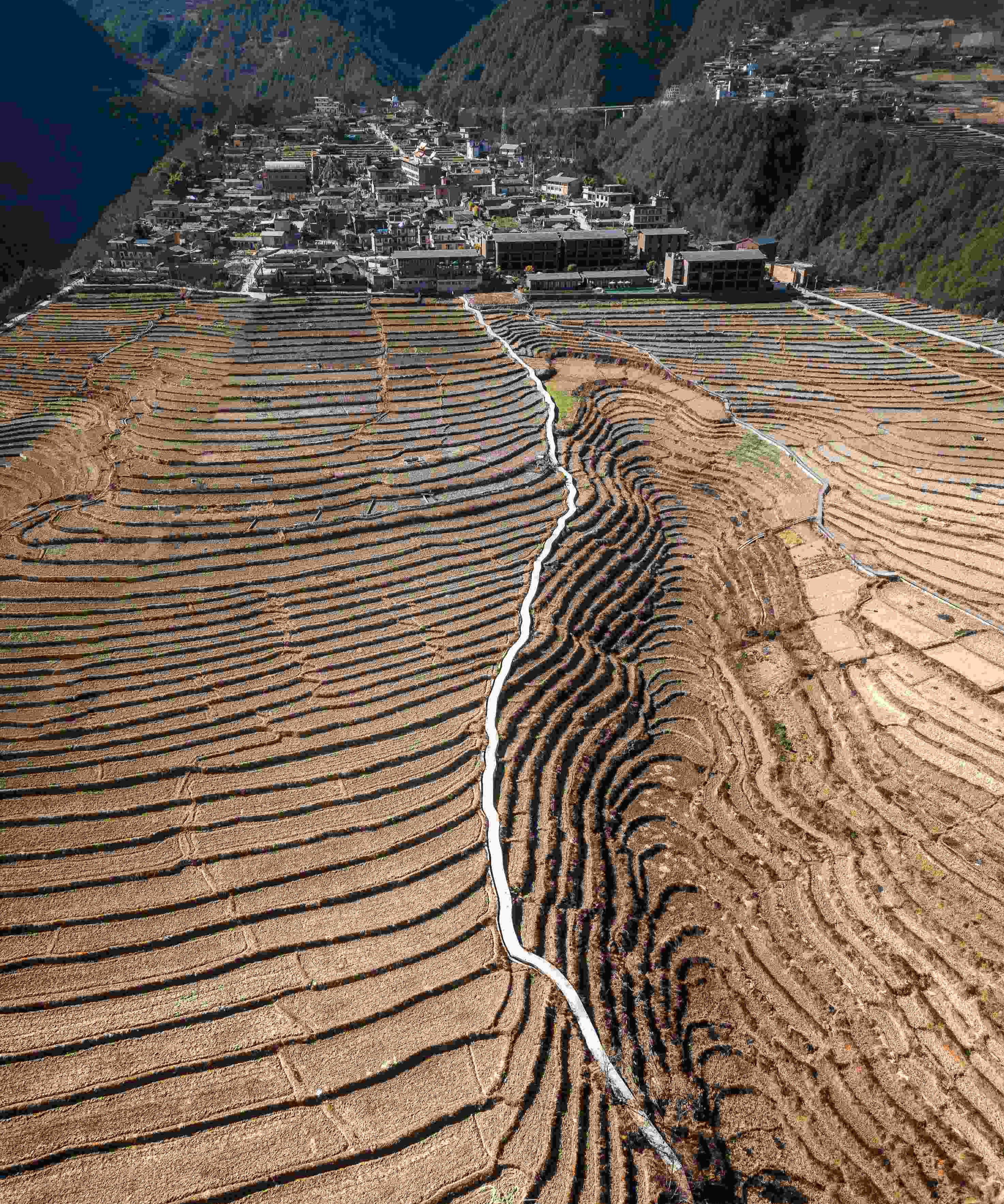 Aerial of cascading terraced fields with a path threading down to a Nujiang village