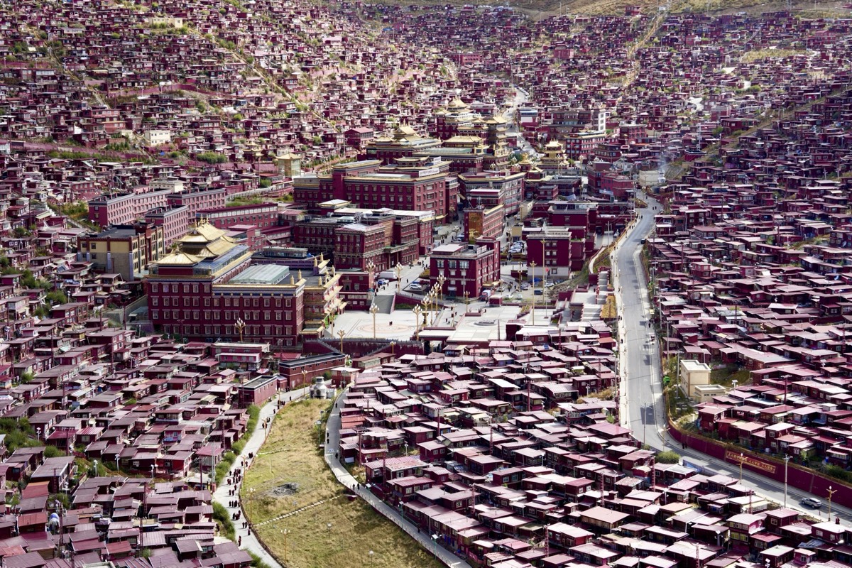 Gallery — Seda (1)