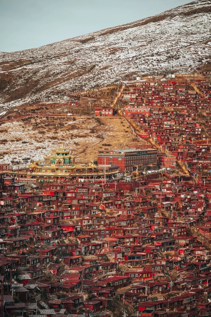 Gallery — Seda (2)