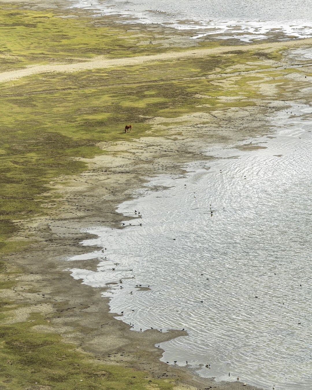 Songzanlin Monastery & Napa Lake — Shangri-La (4)