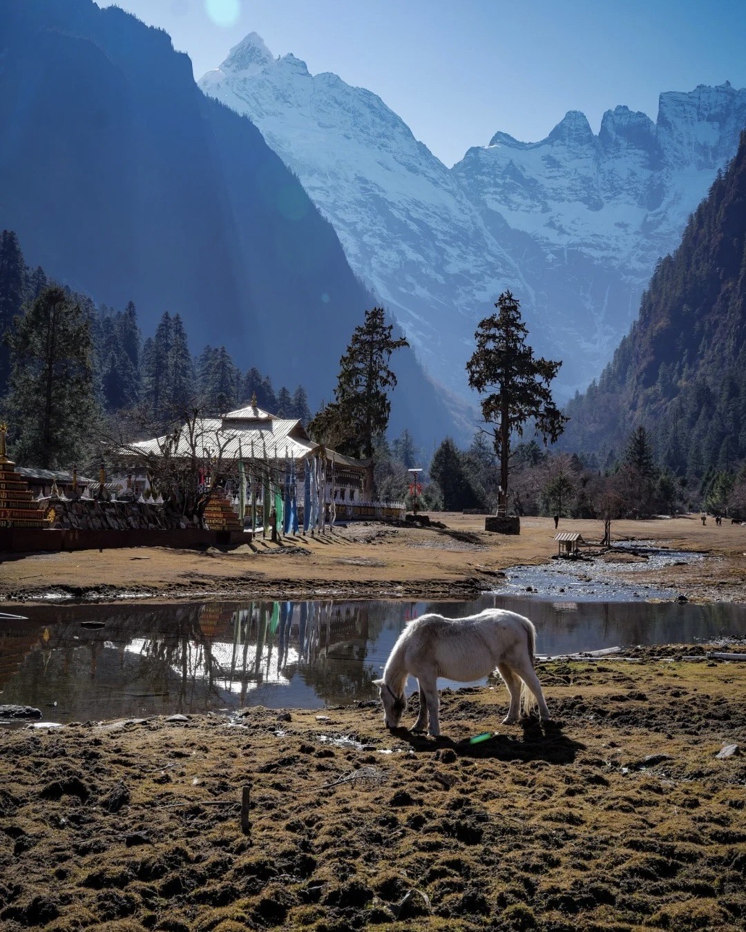 Yubeng Village Trek — Shangri-La (1)