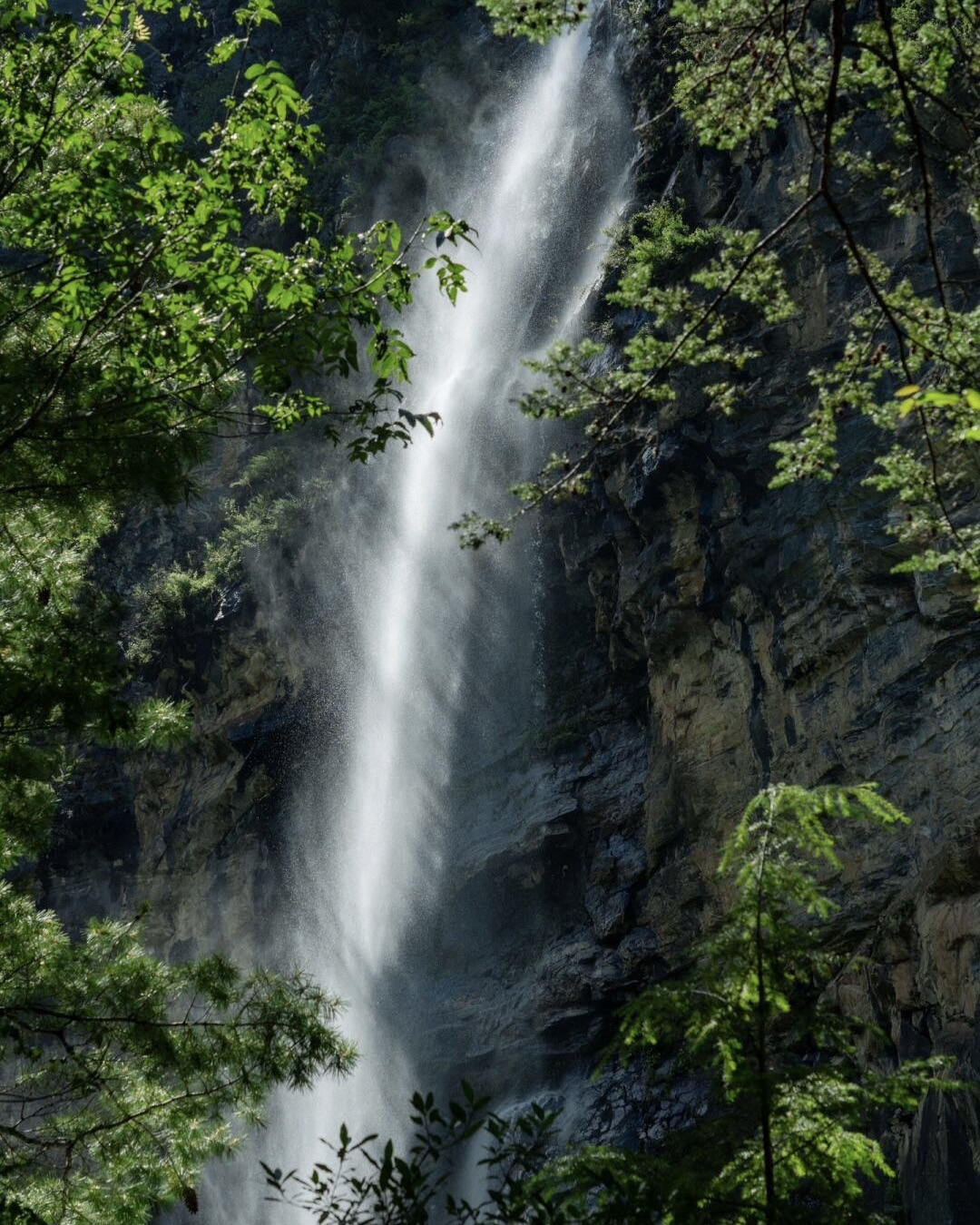 Intimate Niru valley close-up with alpine vegetation and mountain backdrop
