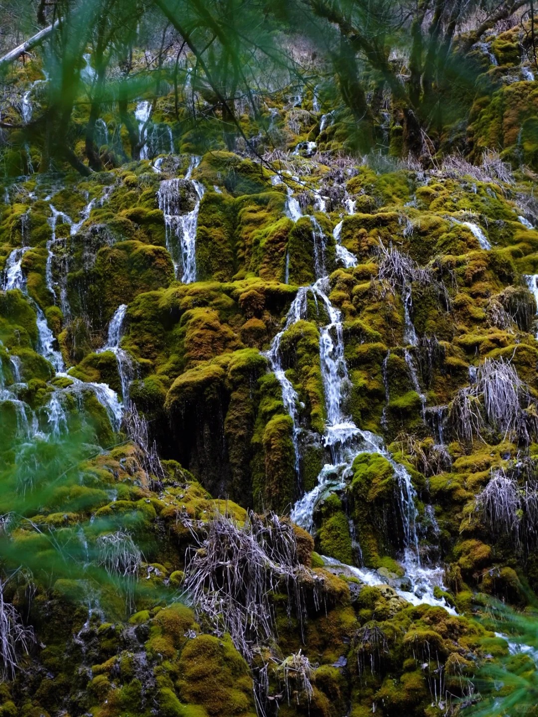Hidden secret valley overlook with turquoise stream cutting through alpine meadowland — Niru
