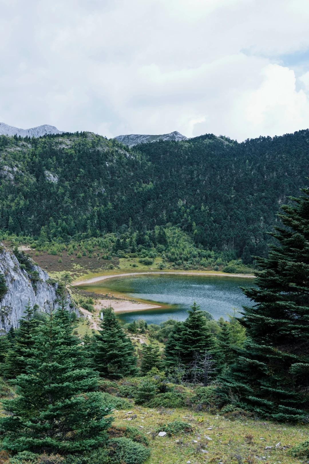 Well-trodden trail descending through coniferous forest into alpine clearings — Niru Valley Day 1