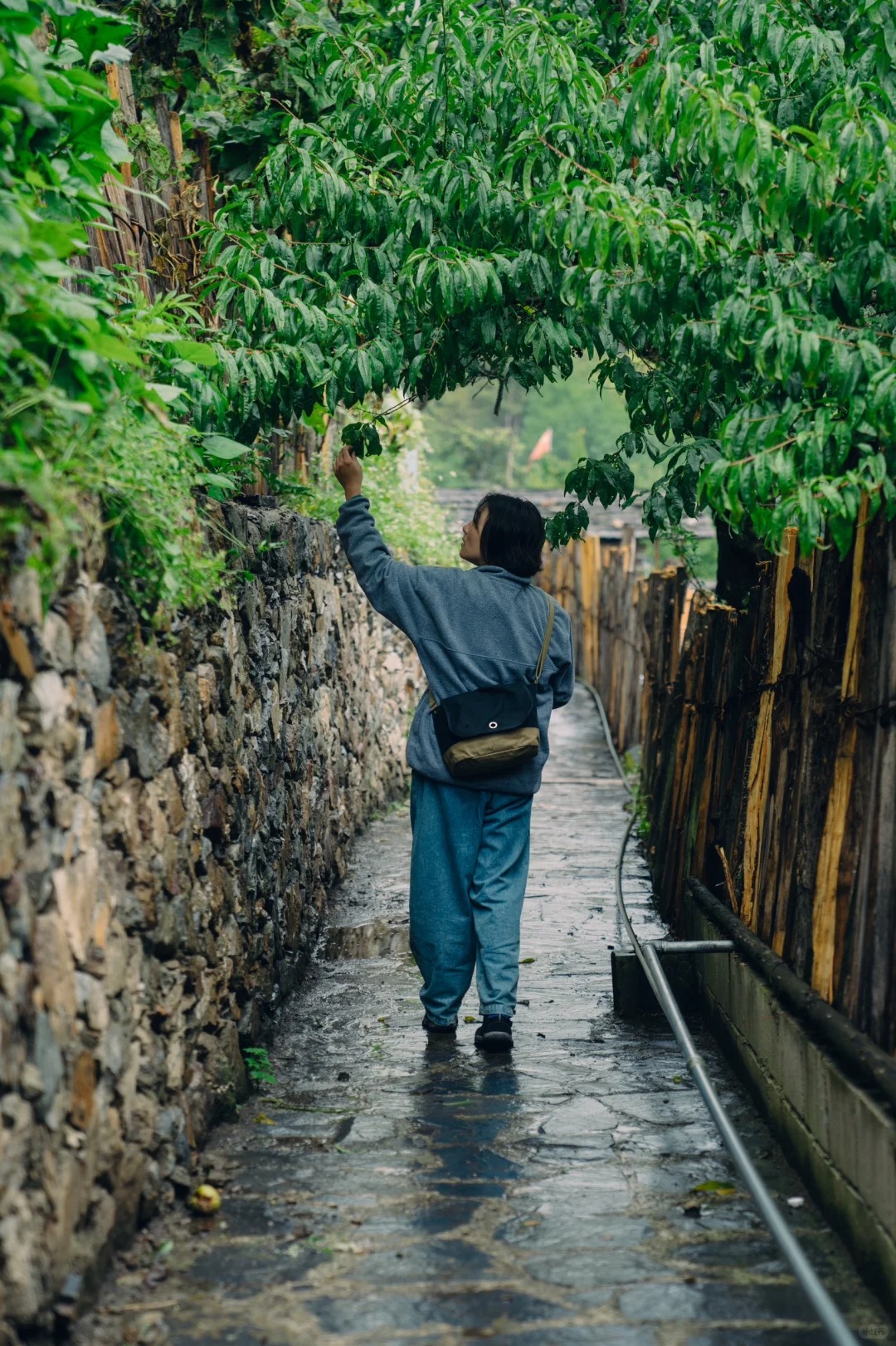 Wet stone pathway through Yubeng village with traditional wooden houses and dense conifer forest