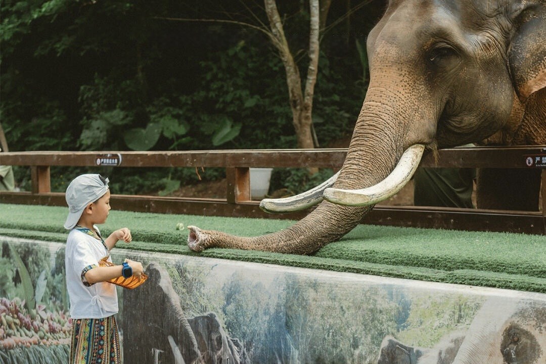 Xishuangbanna Family Adventure