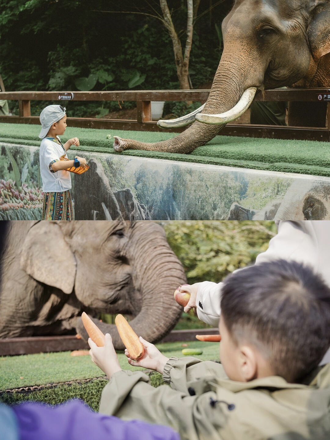 Xishuangbanna Family Adventure