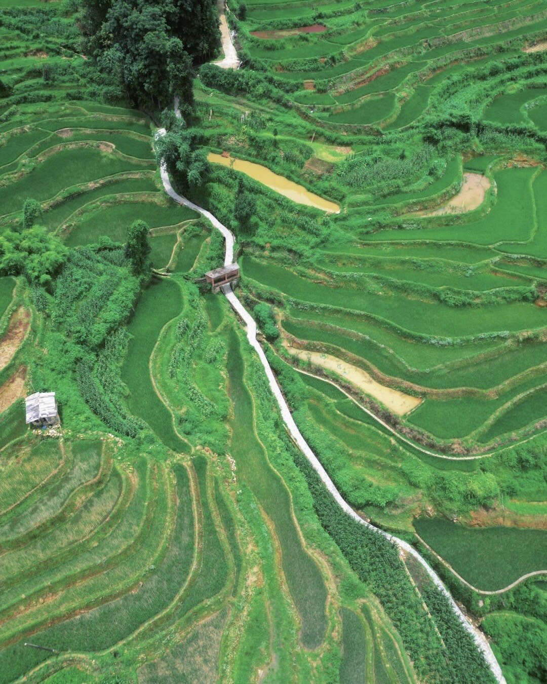 Gallery — Yuanyang (7)