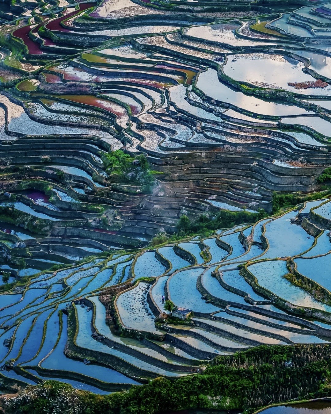 Gallery — Yuanyang (5)