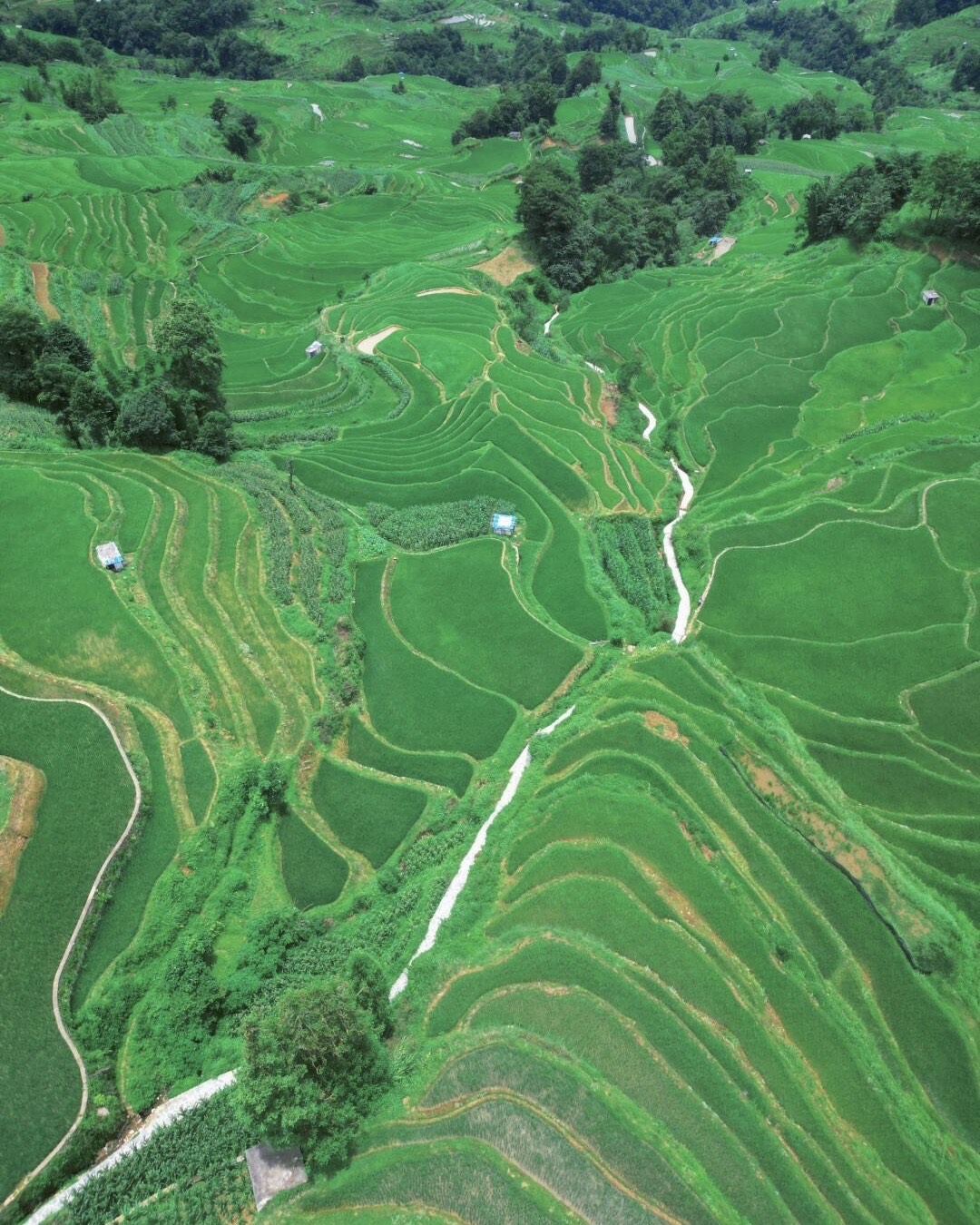 Gallery — Yuanyang (4)