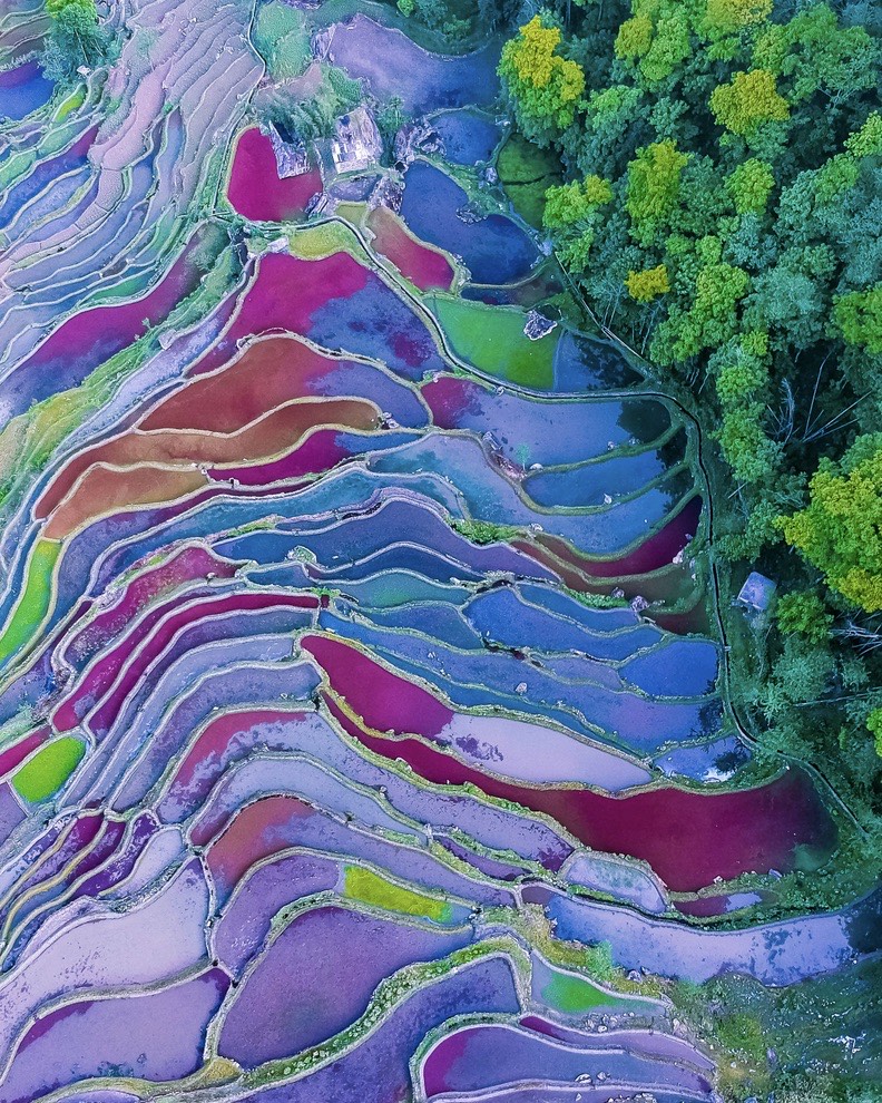 Gallery — Yuanyang (2)