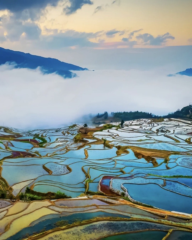 Gallery — Yuanyang (6)