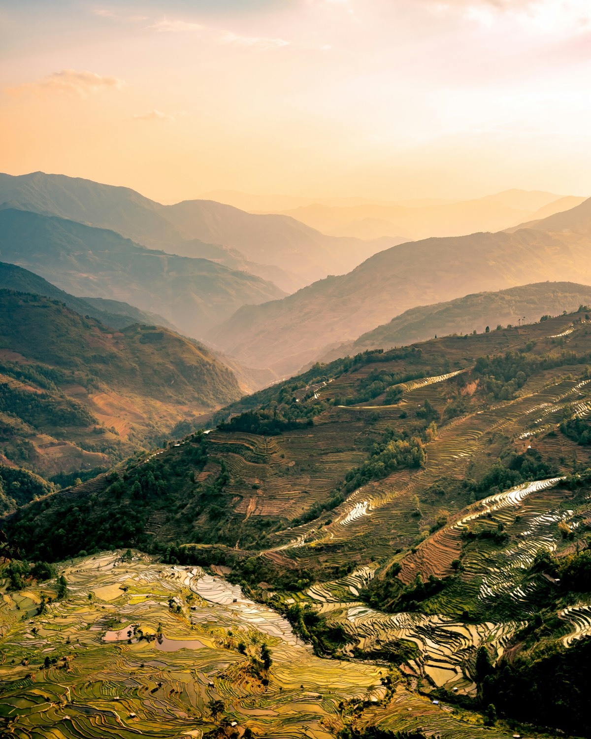 Golden sunset light fills a deep valley of terraced fields ringed by hazy mountain ridges at Yuanyang.