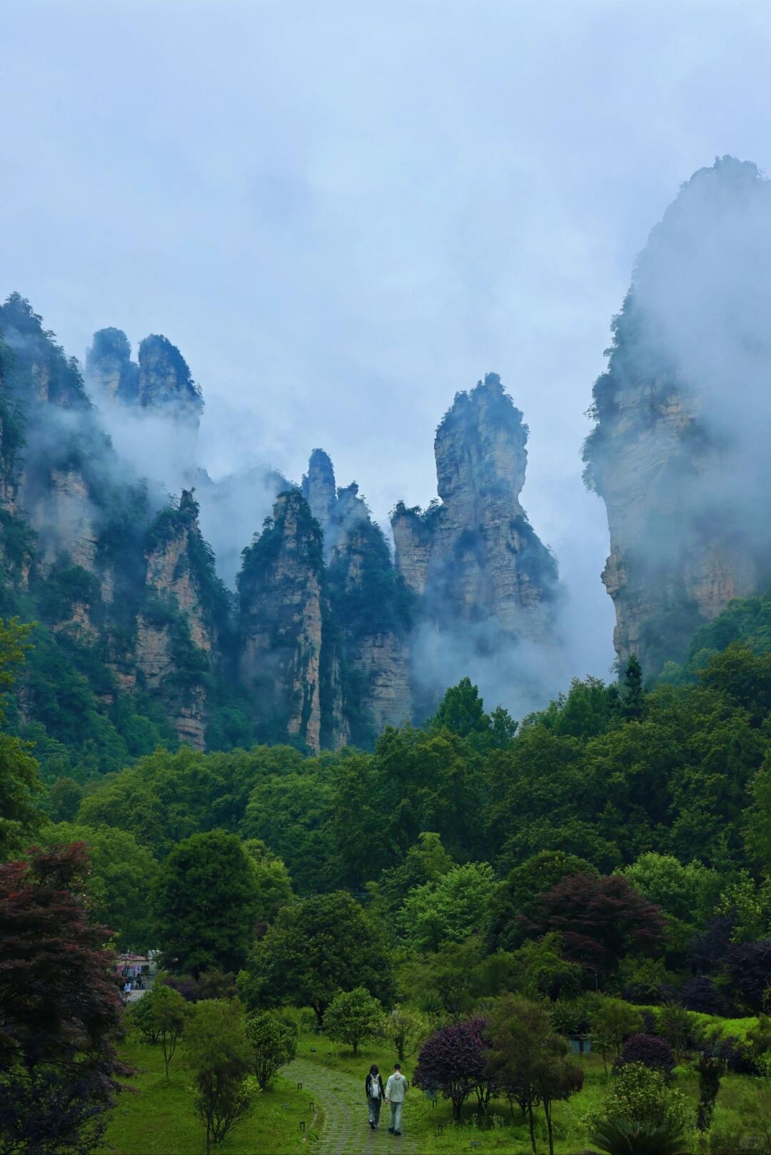 Wulingyuan: The UNESCO Core & Avatar Peaks — Zhangjiajie (8)