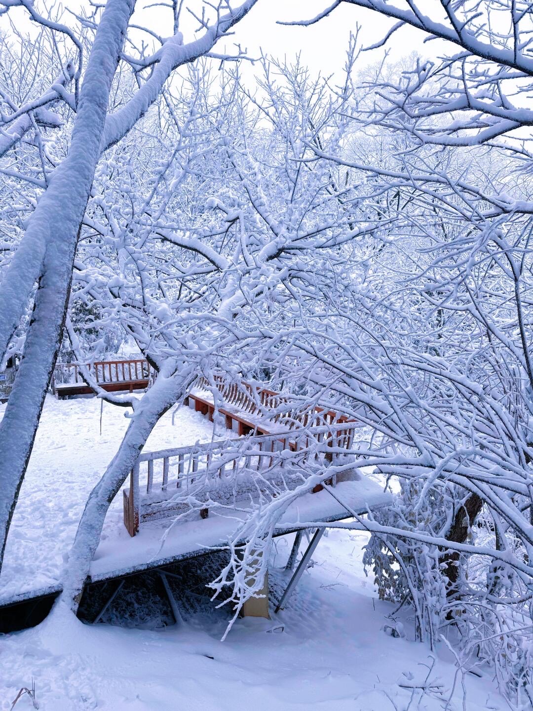 Tianmen Mountain’s Vertical Grandeur — Zhangjiajie (5)